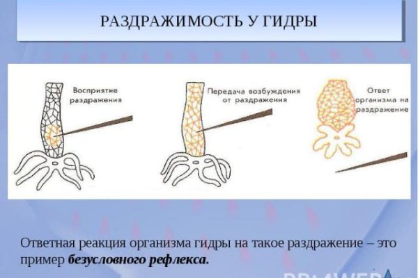 Кракен ат вход