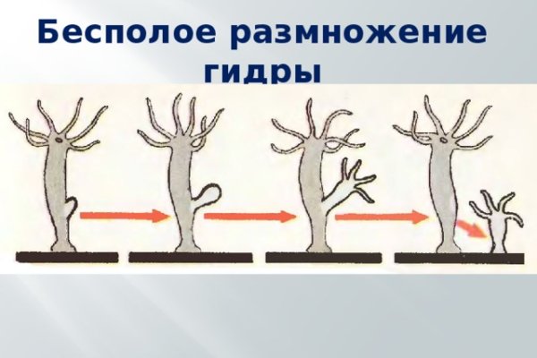 Как восстановить доступ к аккаунту кракен