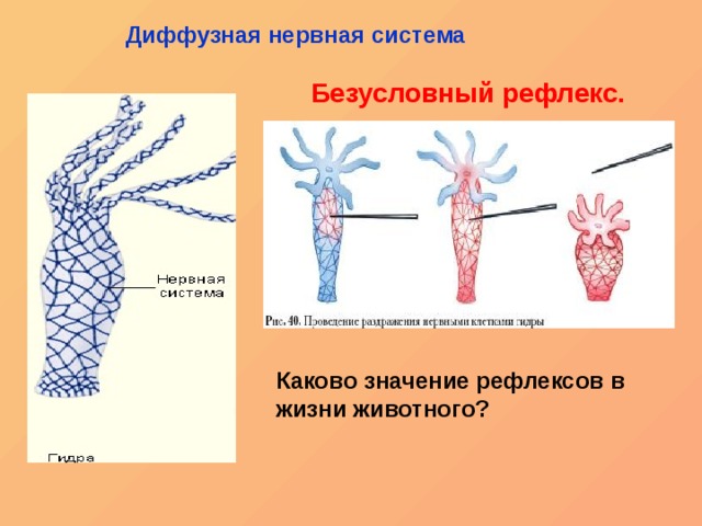 Сайт тор кракен