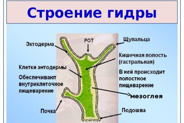 Кракен даркнет плейс