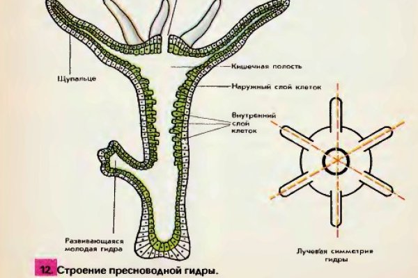 Кракен официальный сайт 2krnk